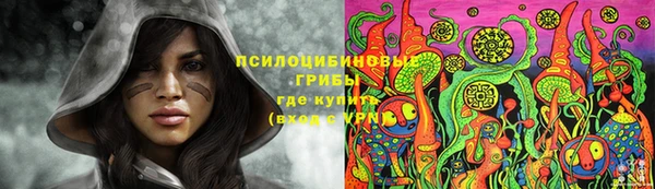 гидропоника Алексин