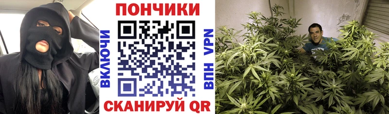 Каннабис AK-47  блэк спрут   Гаджиево 